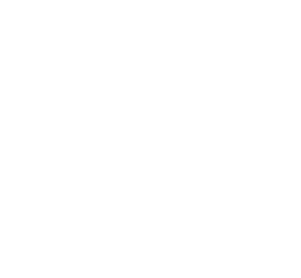 Ghost Bull Hunting logo